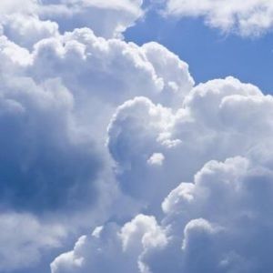 Meet your Posher, Riley